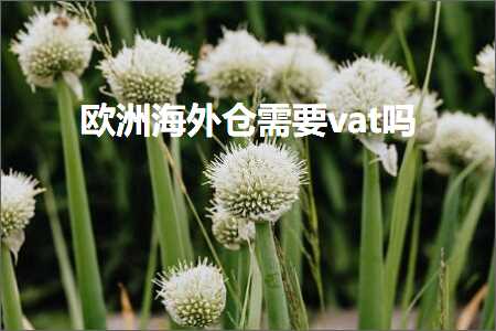 跨境电商知识:欧洲海外仓需要vat吗