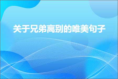 关于兄弟离别的唯美句子（文案645条）