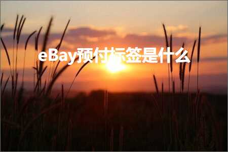 璺ㄥ鐢靛晢鐭ヨ瘑:eBay棰勪粯鏍囩鏄粈涔? width=