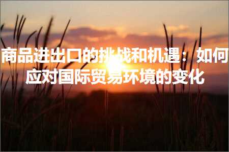 璺ㄥ鐢靛晢鐭ヨ瘑:鍟嗗搧杩涘嚭鍙ｇ殑鎸戞垬鍜屾満閬囷細濡備綍搴斿鍥介檯璐告槗鐜鐨勫彉鍖? width=